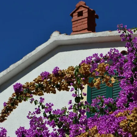 House Niva * Supetarska Draga
