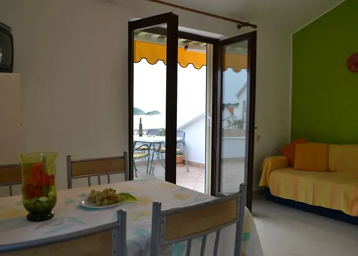 House Niva شقة *