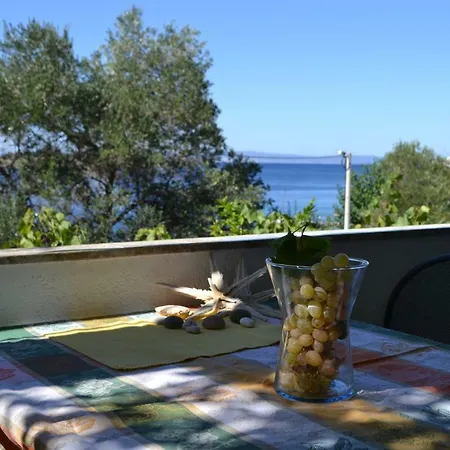 Apartmán House Niva